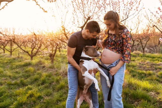 Sezona cvetočih breskev je končana. Vsak mesec v letu ponuja nekaj unikatnega in marec definitivno roza cvetove.🌸☀️ Nosečniško fotografiranje s partnerjem in tudi vašimi kužki 🐾, kjer ujamemo vašo povezanost in veselje ob prihodu novega člana, poteka nekje eno uro na izbrani lokaciji. Pošljem vam PDF, kjer je zbranih 50+ lokacij največ na Primorskem koncu, na katerih sem že fotografirala.

Če razmišljate o fotografiranju, je zdaj pravi čas saj imam v aprilu in maju še nekaj prostih terminov za fotografiranja v naravi ali studiu. Sploh nosečnice, ki ste čez 28. teden nosečnosti vabljene, da se spoznamo in ustvarimo fotografsko zgodbo.🤰

📩 Pišite mi v zasebno sporočilo za več informacij ali pokukajte v ponudbo na spletni strani www.dunjakosuta.si 

#goriskabrda #novagorica #nosecniskofotografiranje #fotografiranje #druzinskofotografiranje