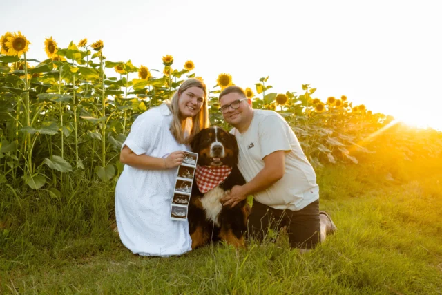 Ste vedeli?
Sončnice se kot mlade rastline obračajo proti soncu, da ujamejo čim več svetlobe. Mi pa smo ujeli zgodbo para s štirinožnim prijateljem.🐶🤰

Če si tudi vi želite nepozabnih fotografij med cvetočimi sončnicami, je zdaj pravi čas. Sezona traja le kratek čas (julij in avgust), več informacij lahko najdete na spletni strani www.dunjakosuta.si 

#sončnice #pregnantlife #druzinskofotografiranje #nosecniskofotografiranje #slovenskifotografi
